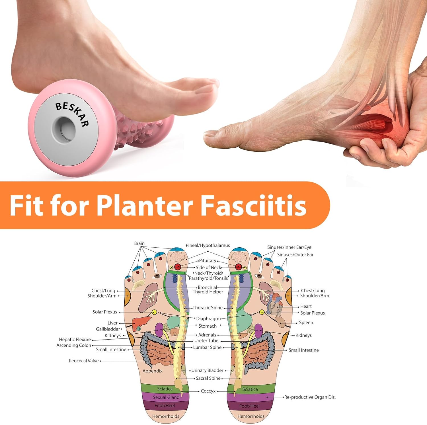 Foot Massager Roller for Plant - Reflexology Foot Roller recensione e prezzo
