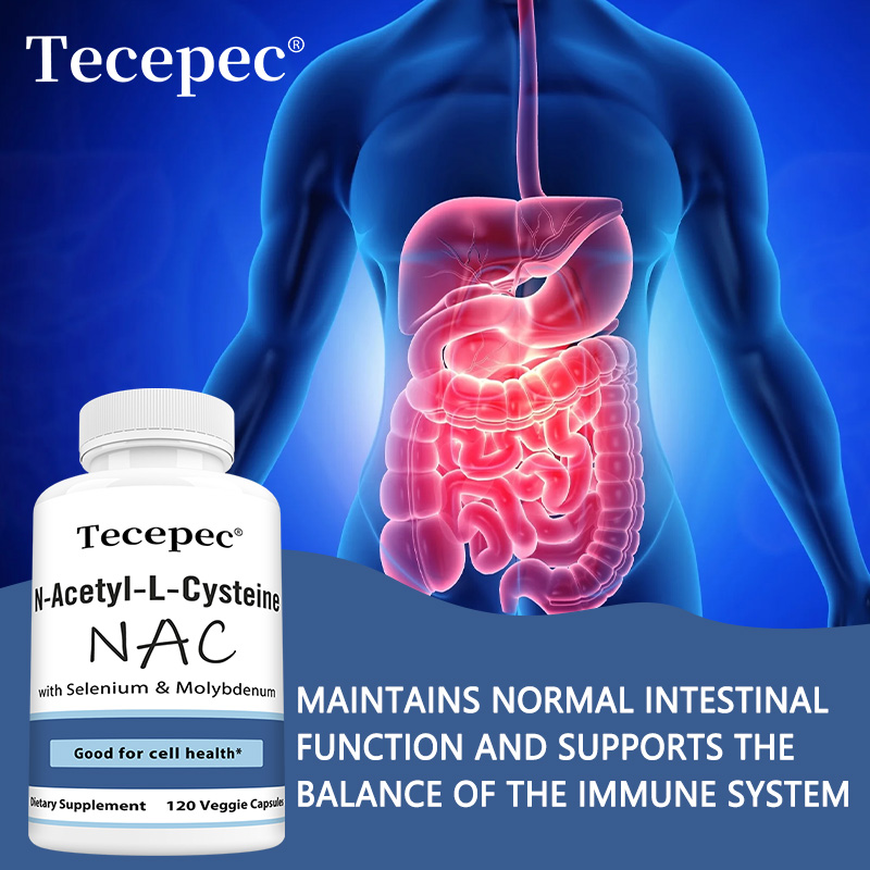 NAC Capsules – Antioxidant, Su - Health Wellness Day recensione e prezzo