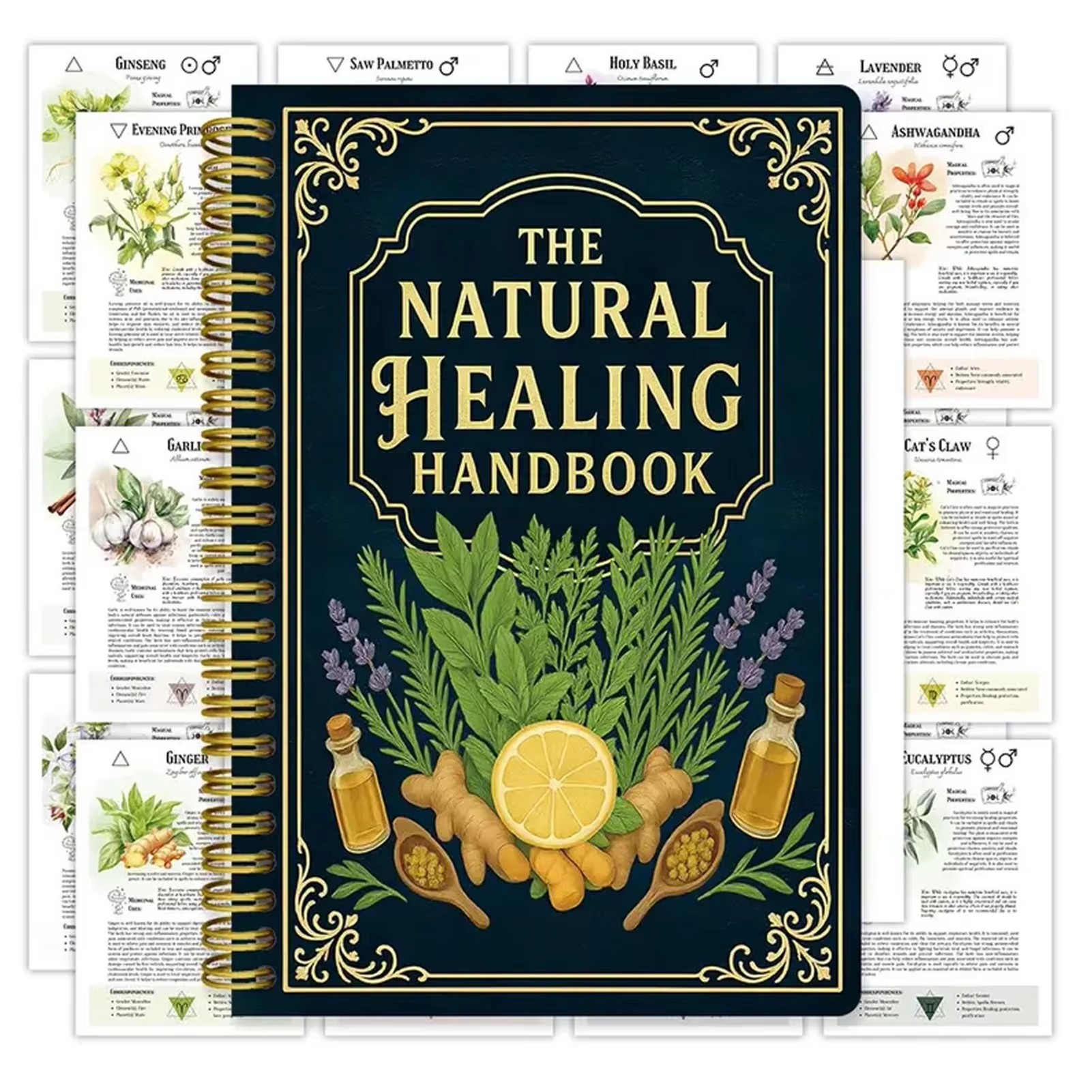 Healing Handbook By Luna Filby - Health & Wellness Là Gì recensione e prezzo