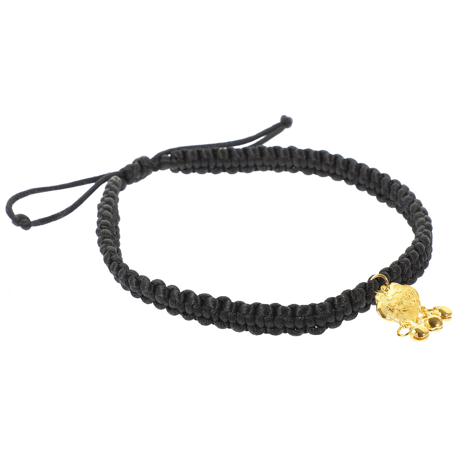 Gold Lock Pet Collar with Cris - Longevity Health & Wellness Hotel recensione e prezzo