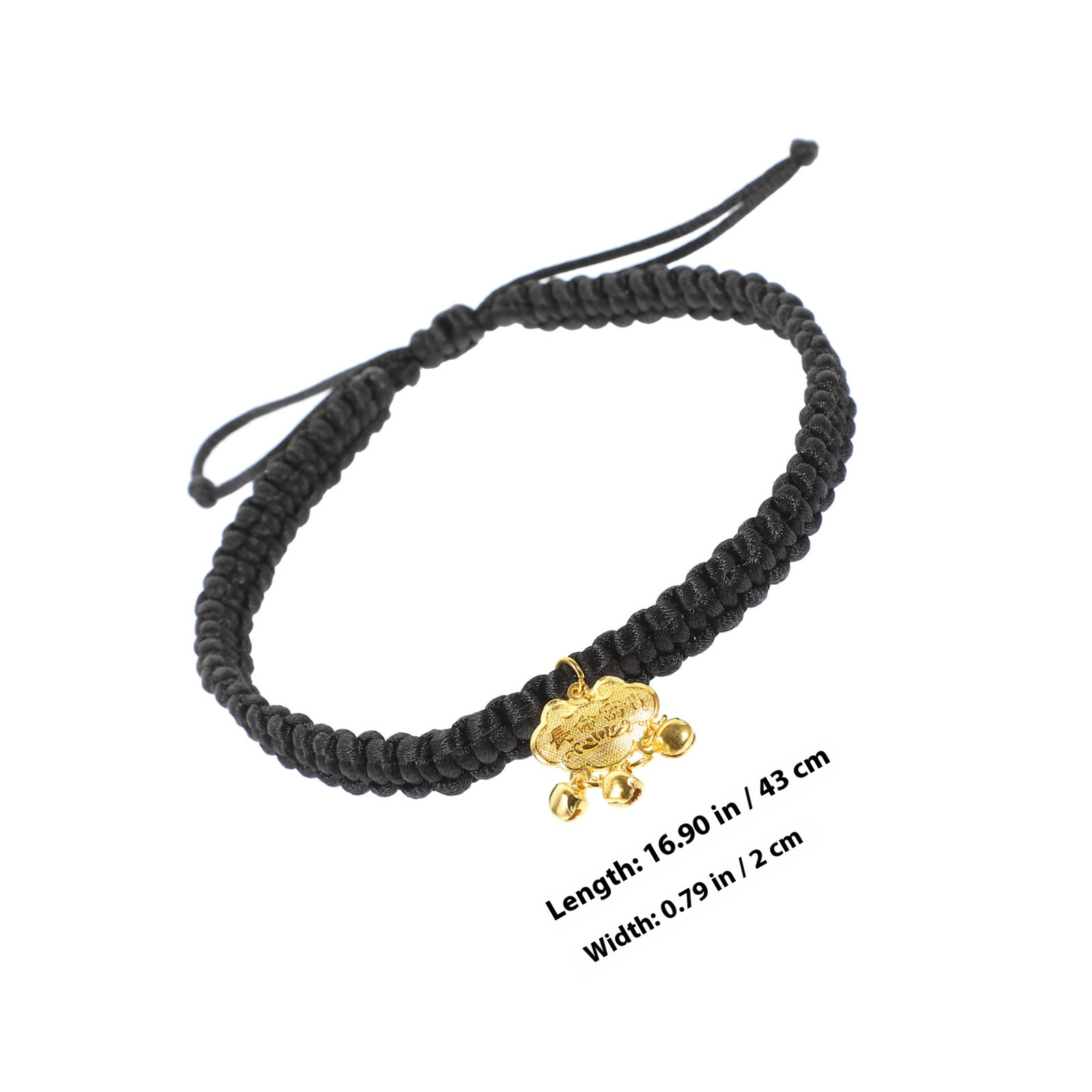 Gold Lock Pet Collar with Cris - Longevity Health & Wellness Hotel recensione e prezzo