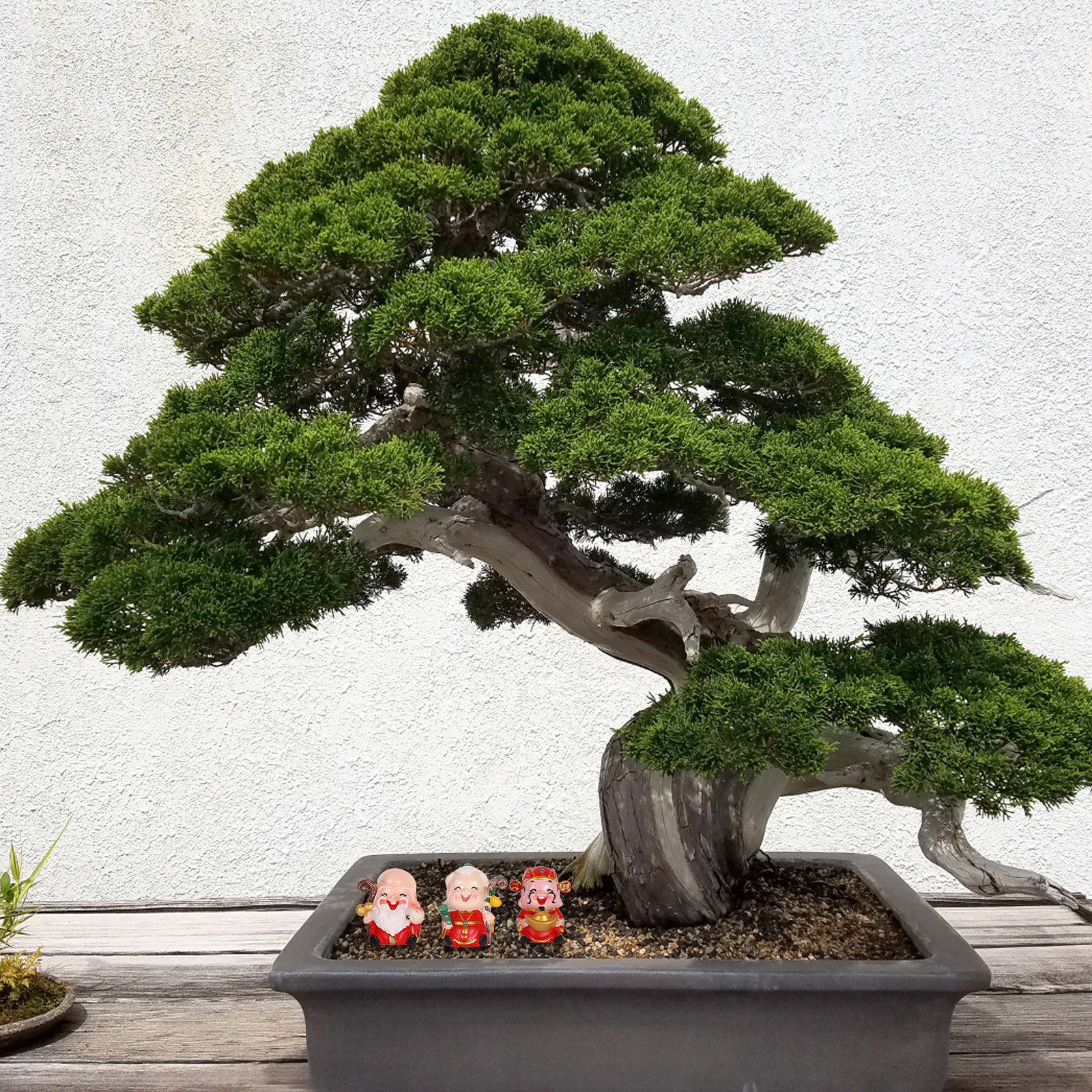 3Pcs Resin Chinese Elder Figur - Longevity Health & Wellness Hotel recensione e prezzo