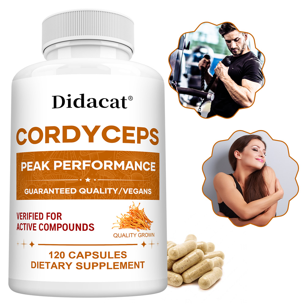 Cordyceps Mushroom Capsules 10 - Health Wellness Day recensione e prezzo