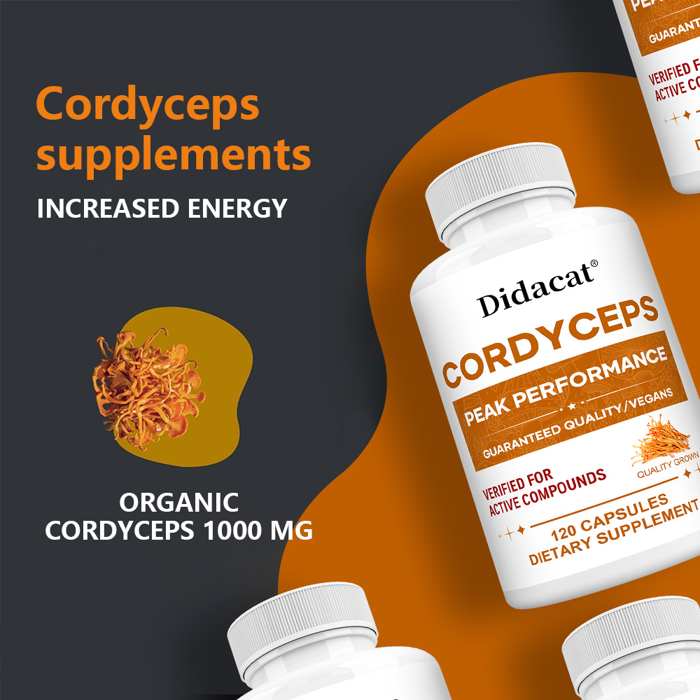 Cordyceps Mushroom Capsules 10 - Health Wellness Day recensione e prezzo
