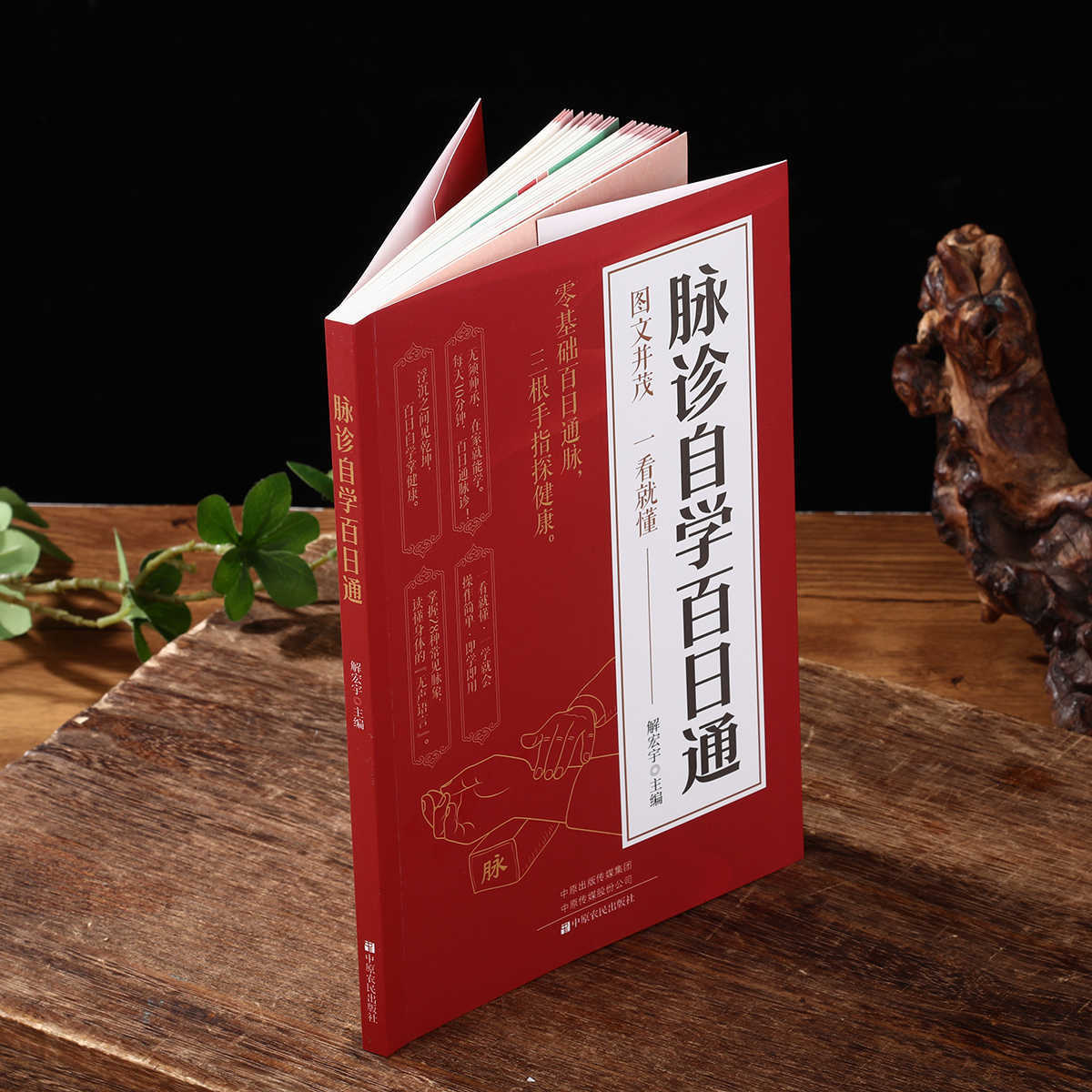 Pulse Diagnosis Self Study Hun - Health & Wellness Là Gì recensione e prezzo