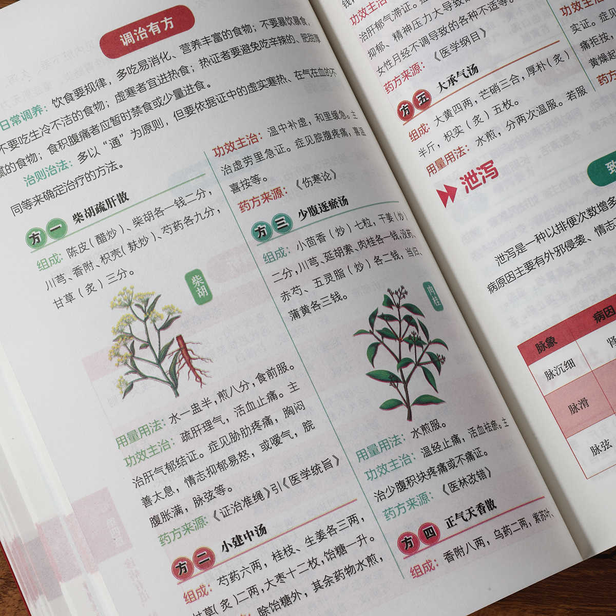 Pulse Diagnosis Self Study Hun - Health & Wellness Là Gì recensione e prezzo